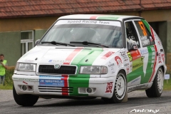 Horácká rally Třebíč 2011